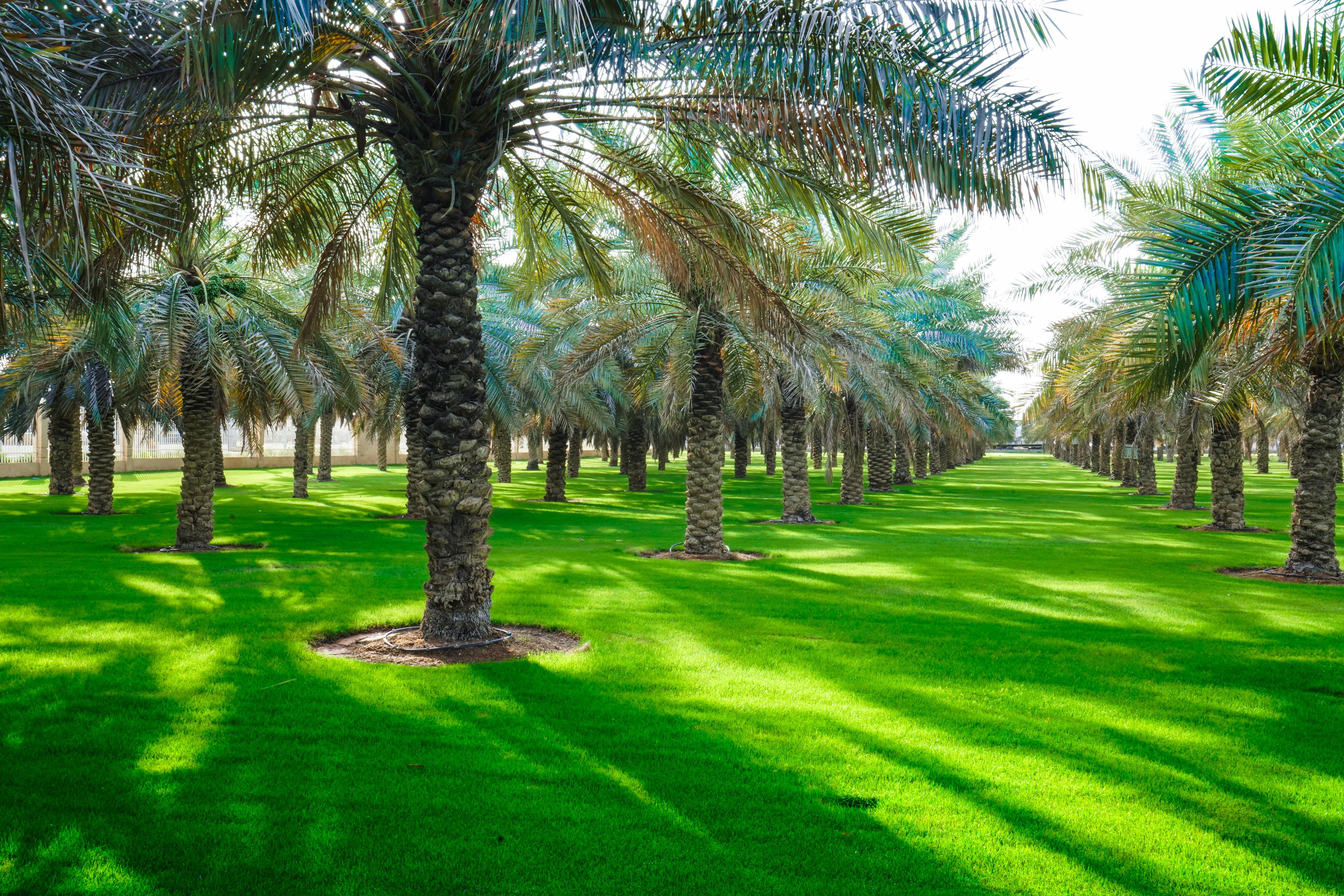 مشاريع مكاسب التطويرية عبر العقود